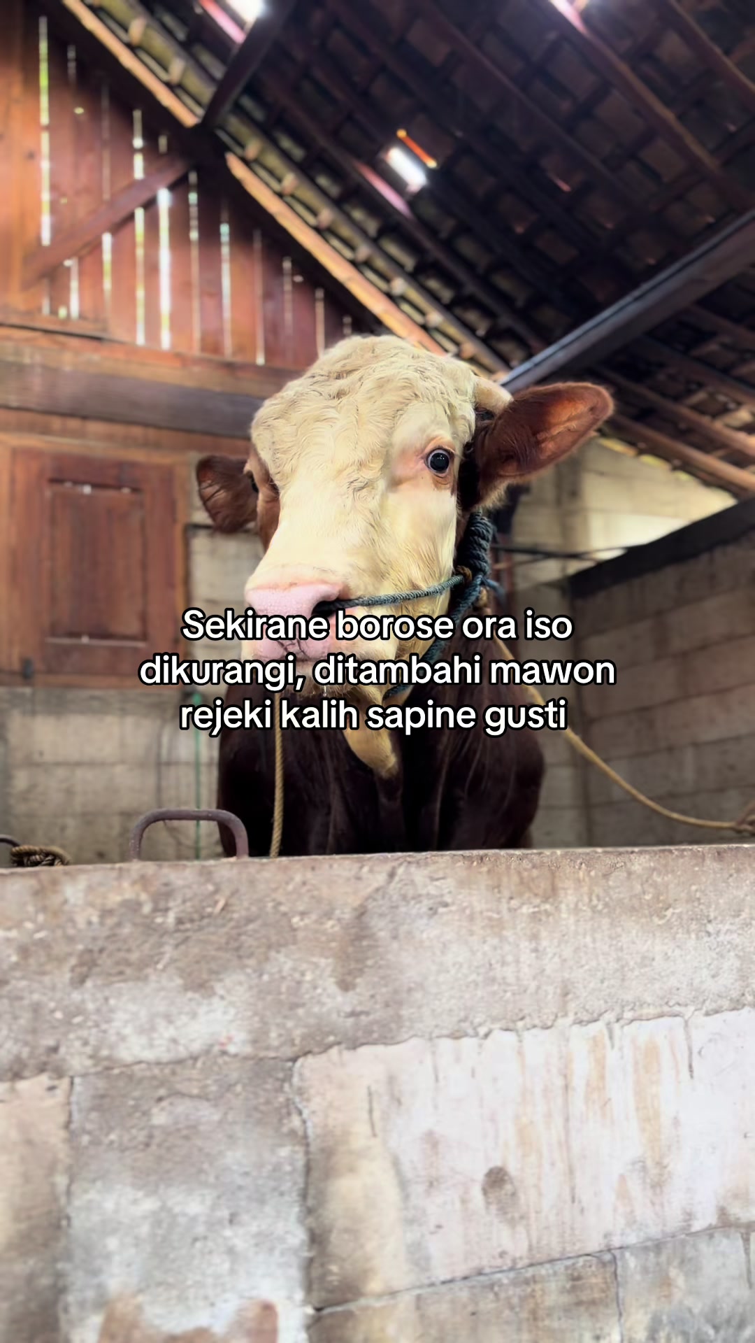 @zero farm