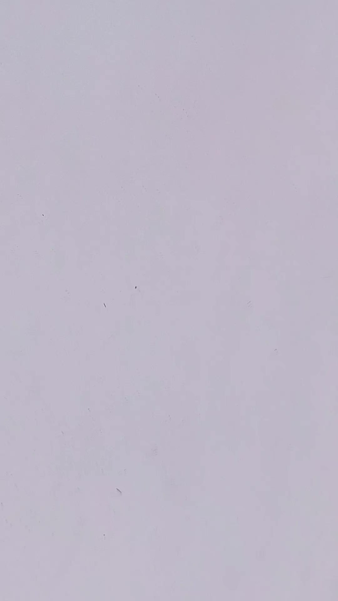 @PokNoT