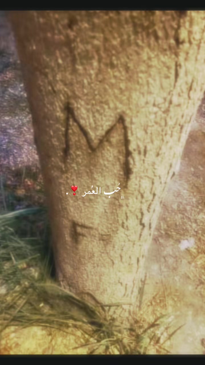 @مَـلآذ᪤