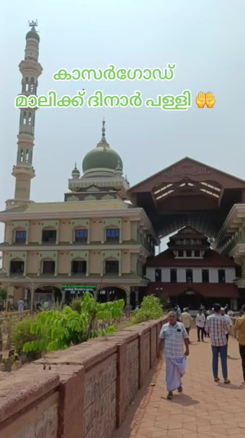 @♥️🤍🕊️ഫാത്തി🕊️🤍♥️