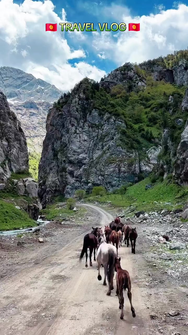 @almazmyrza_09🇰🇬