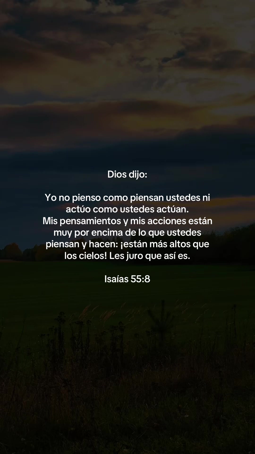 @vidabonita❤️🩹