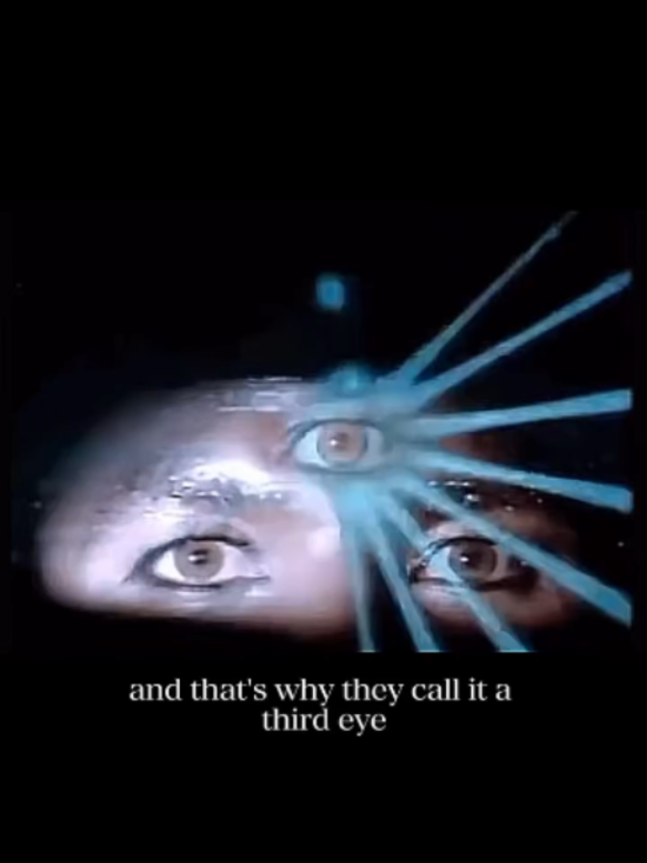 @ILLUMINATED MINDZ