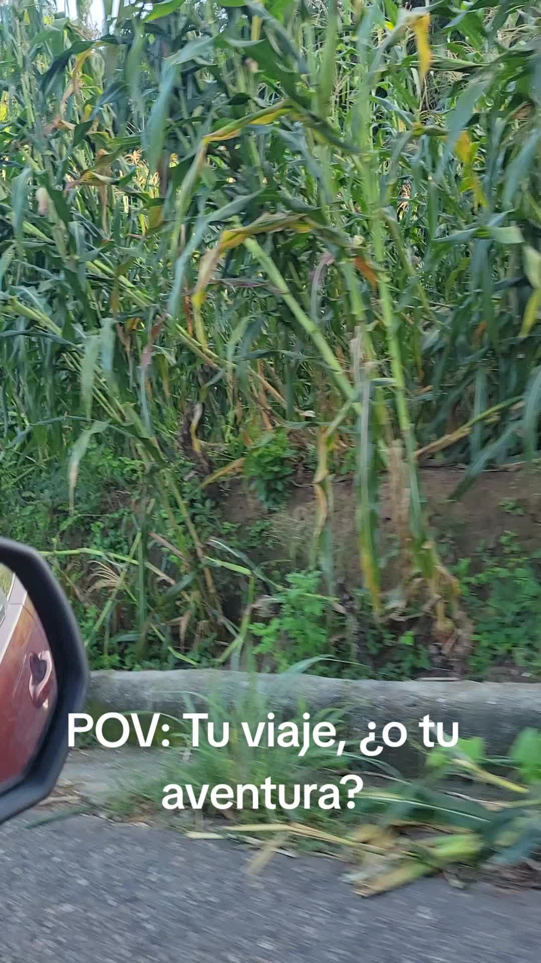 @lucymanzano