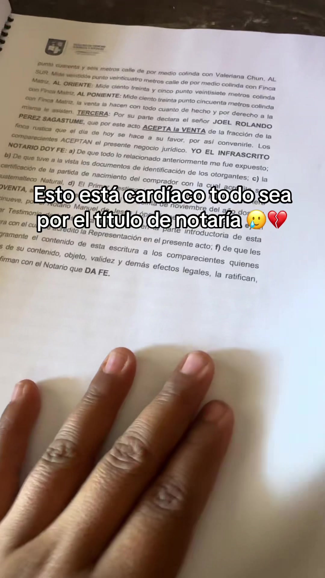 @Lisi 🦕