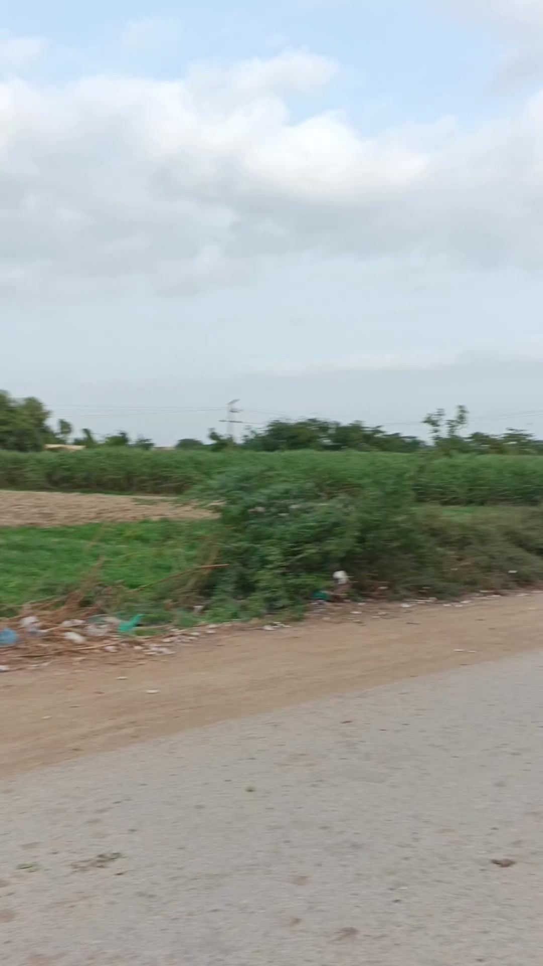 @Mukesh kumar kolhi
