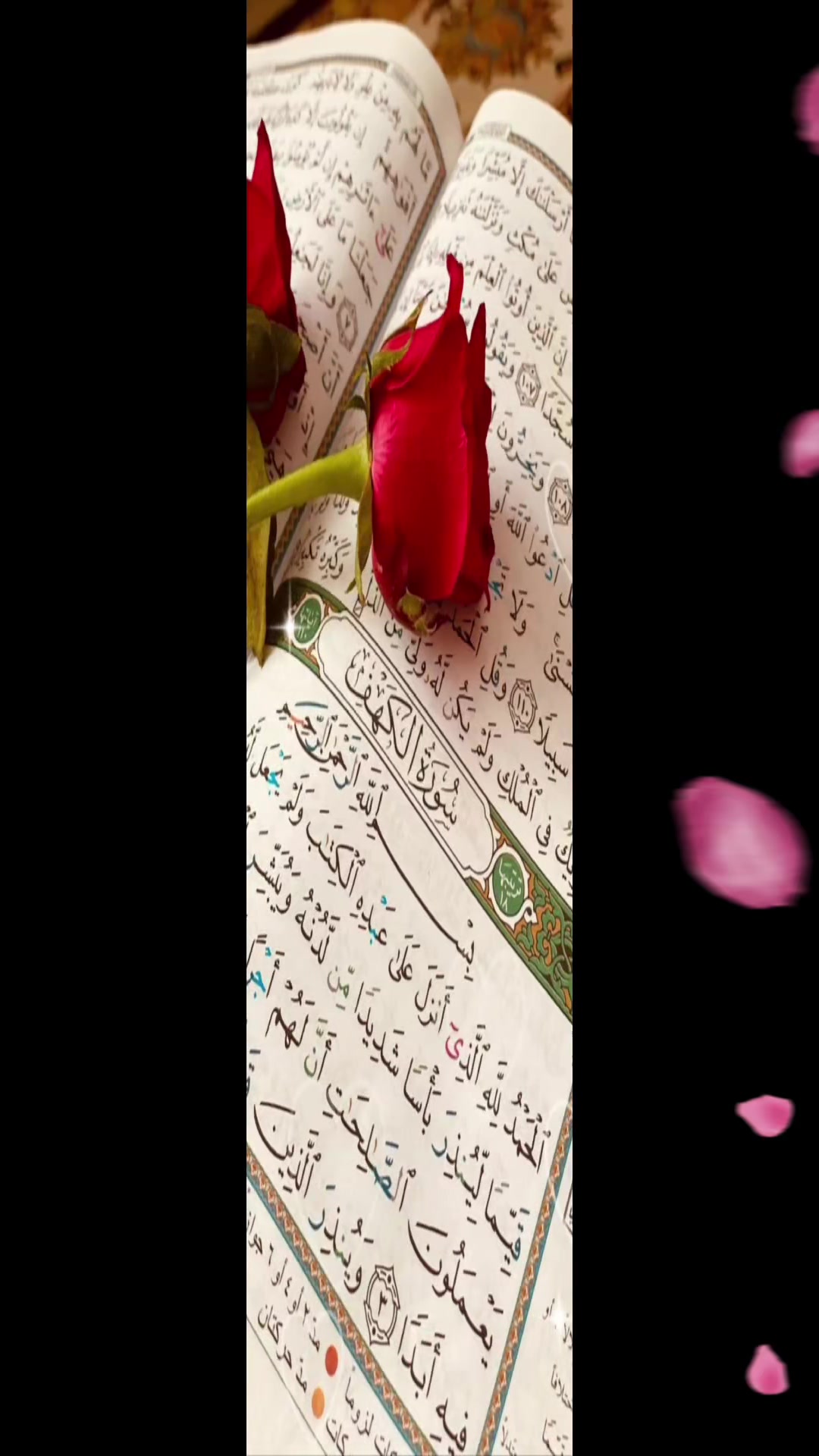 @🫂y̿a̿r̿e̿n̿🫂❤