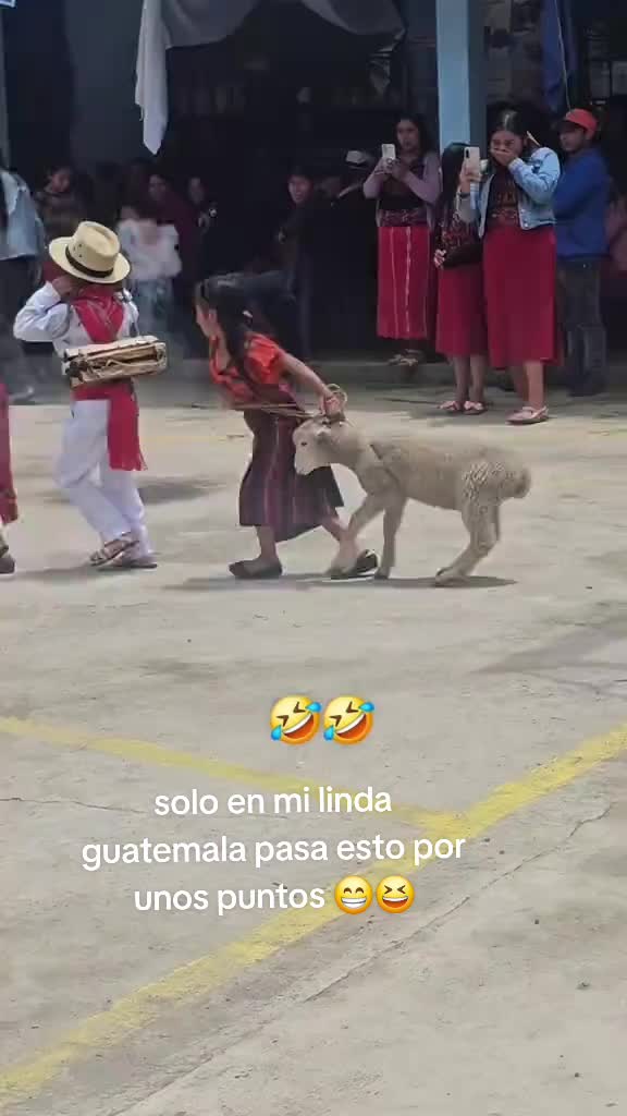 @AVENTURAS Güero03