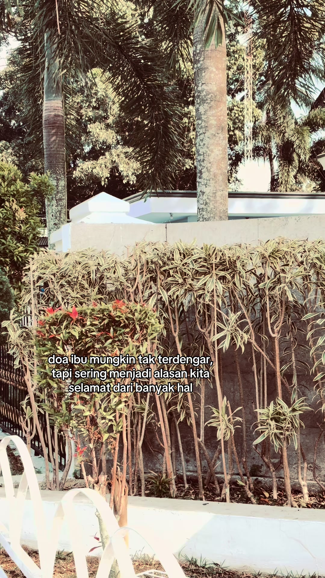 @ㅤ