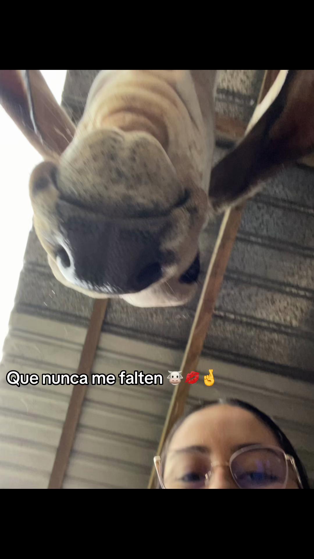 @Aleja🐴