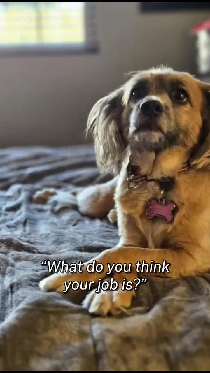 @Max and Company 🐕💚🐕💚