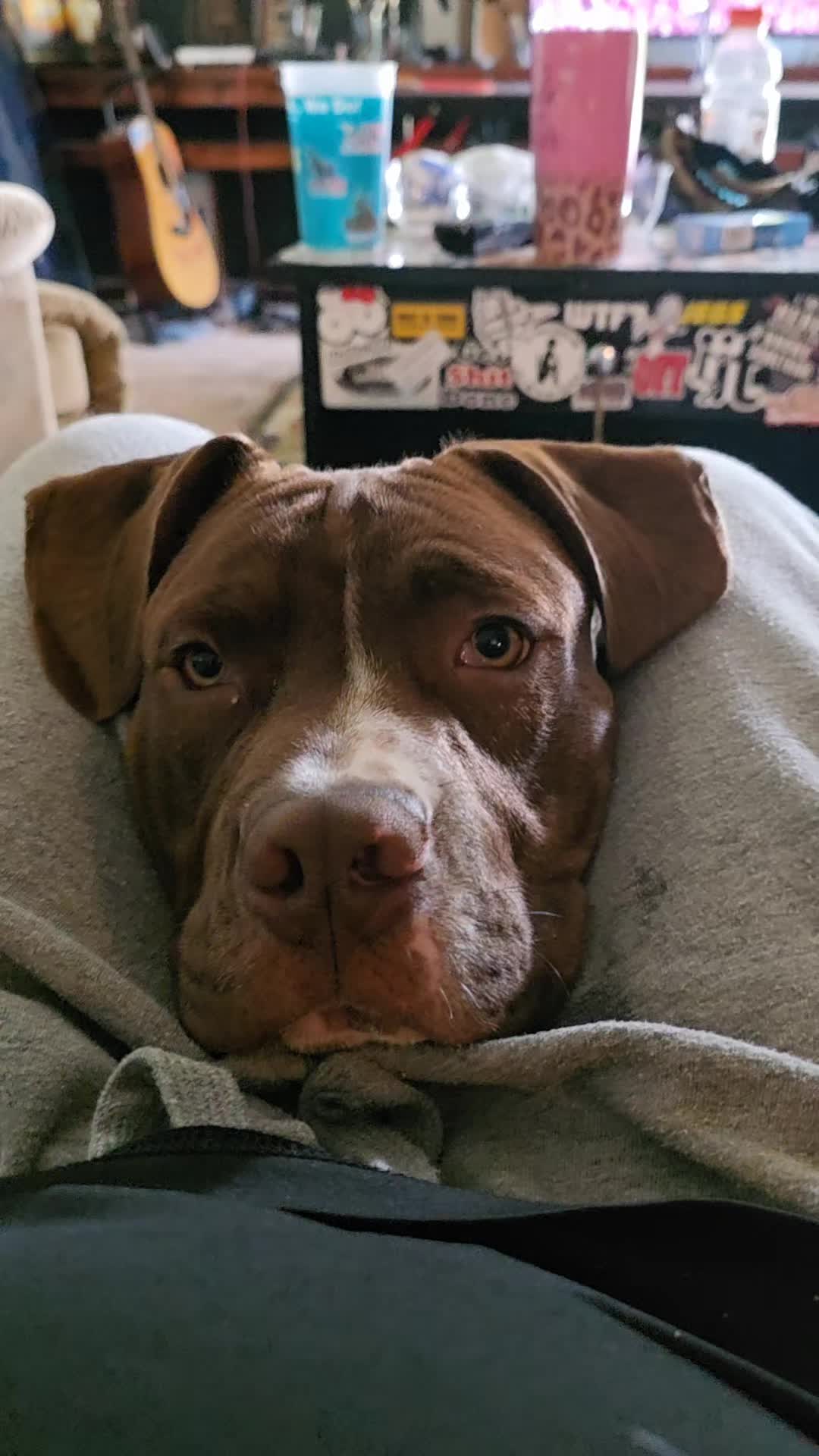 @Josh.AP