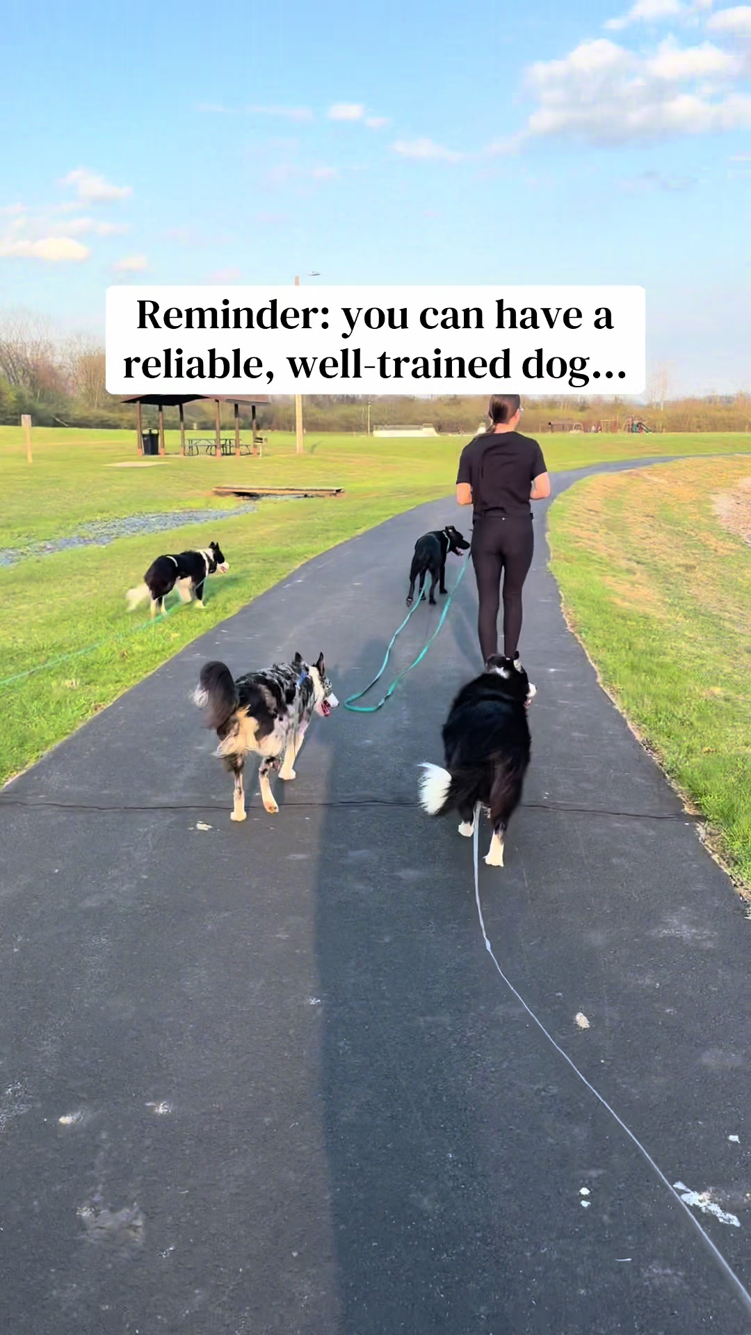 @Exploring K9 Training