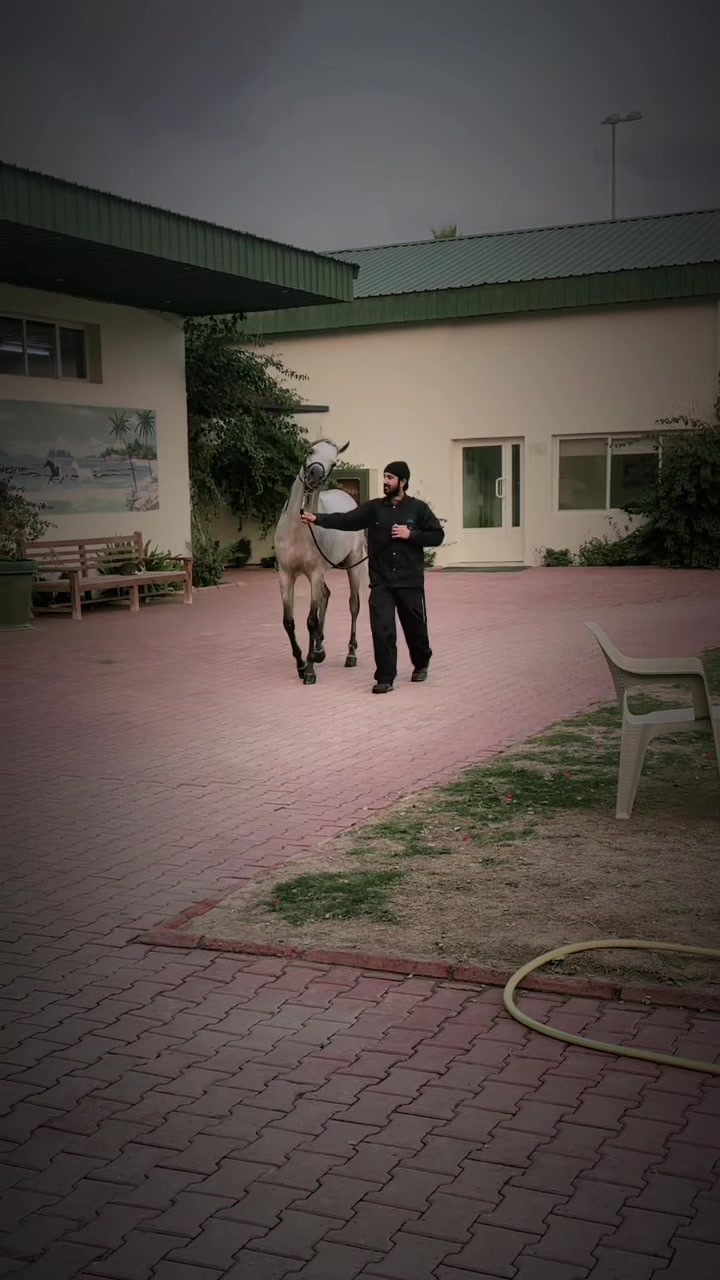 @rehan 786