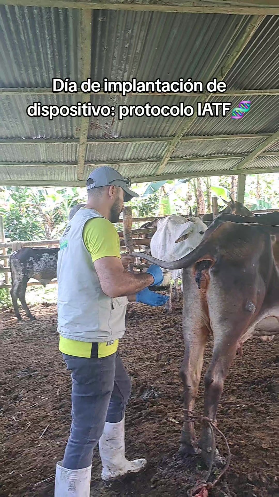 @☆SoyHjalmarVera🤠✅️