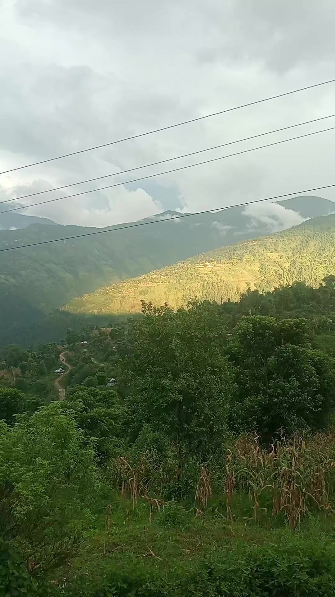 @बस्नेत काजी👨💻🇳🇵🇳🇵