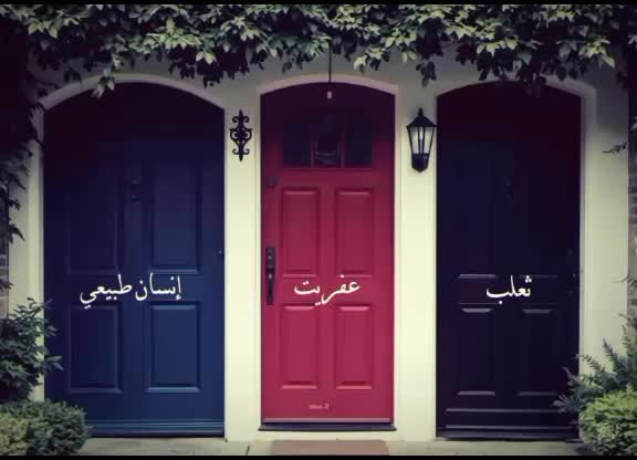 @.STAY.