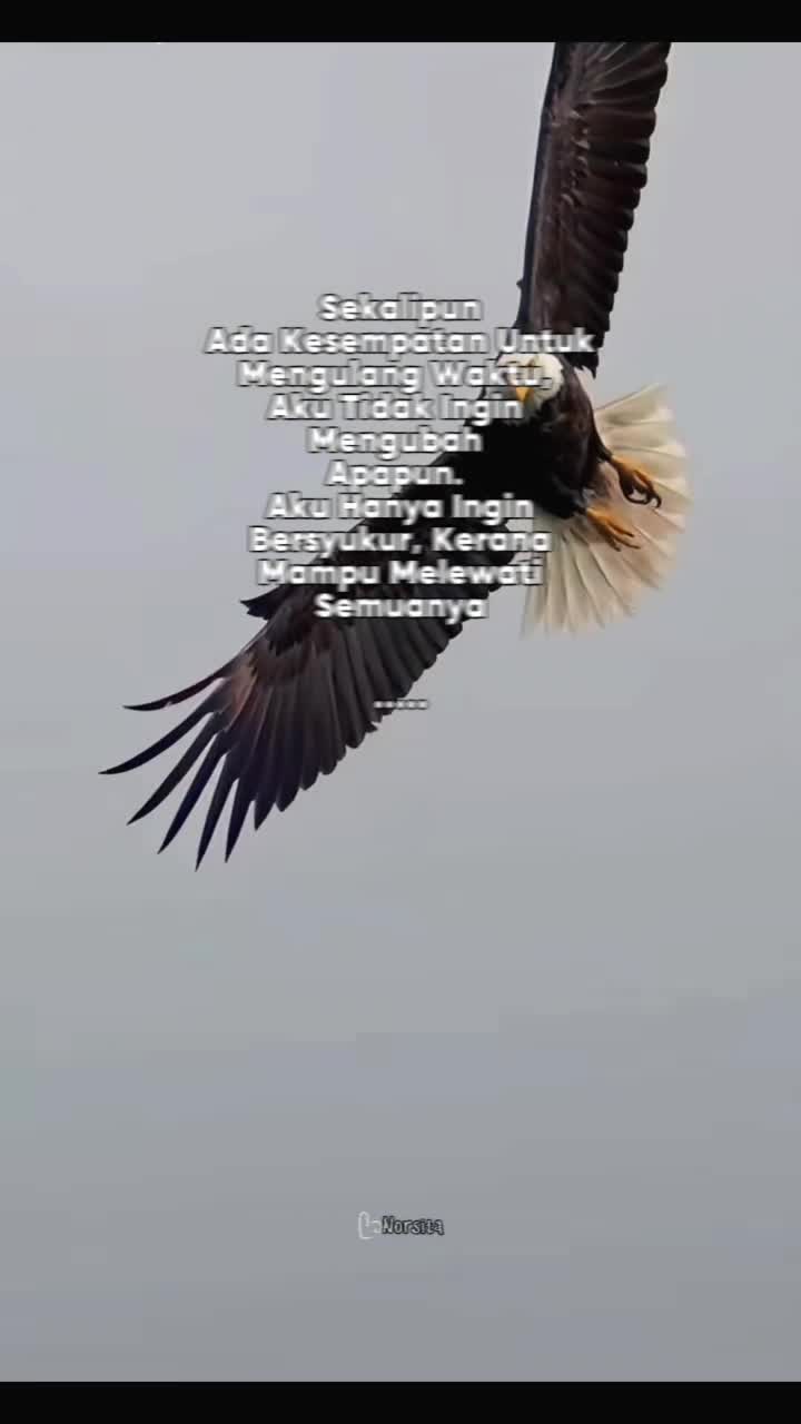 @ᥫ᭡ᴄᴇᴏ_ᴏғ_sᴛᴏʀʏ