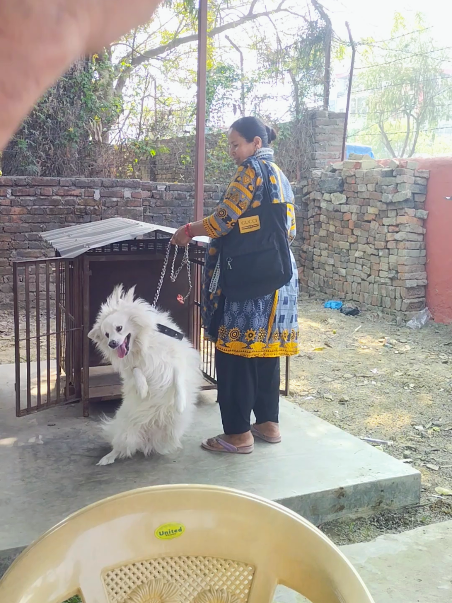 @Prajapati Agro Vet