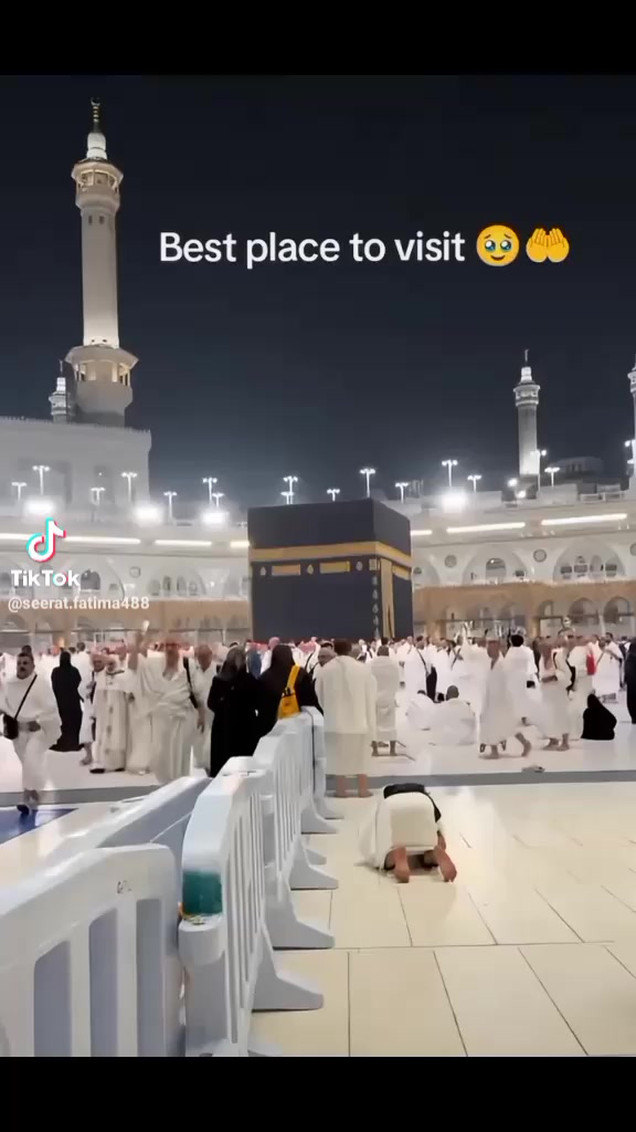 @Musa Bhai 👑