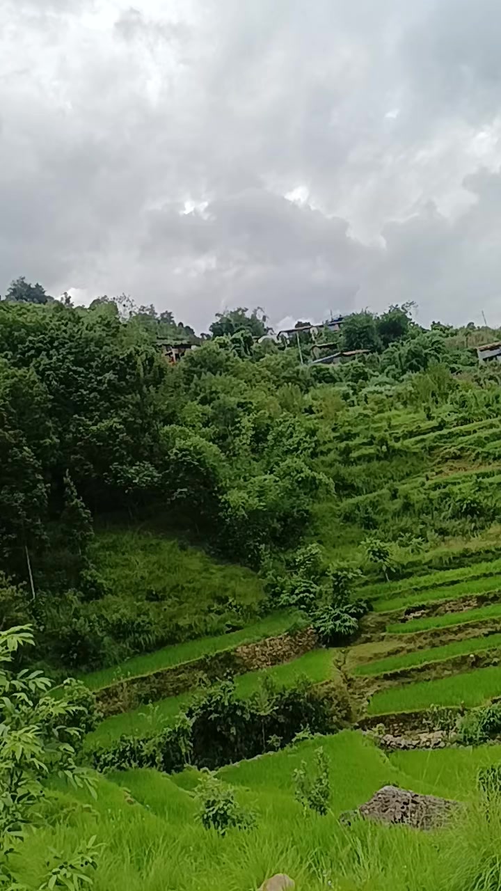 @Gita Sharma Dhakal