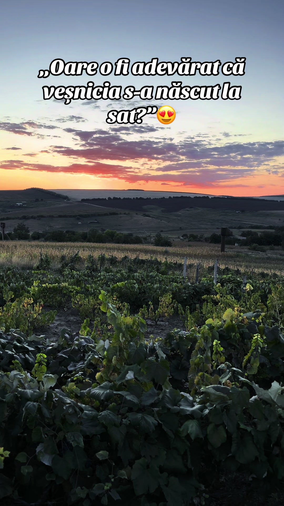 @Grigoraș! 😍💞