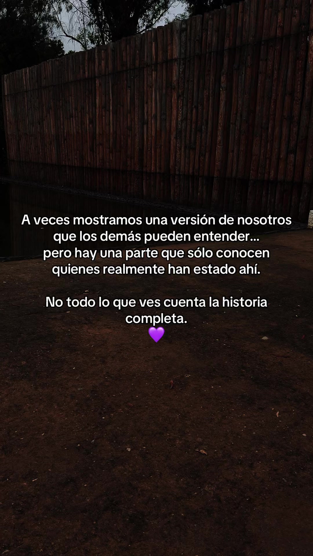 @Constanza Aboytes 보람
