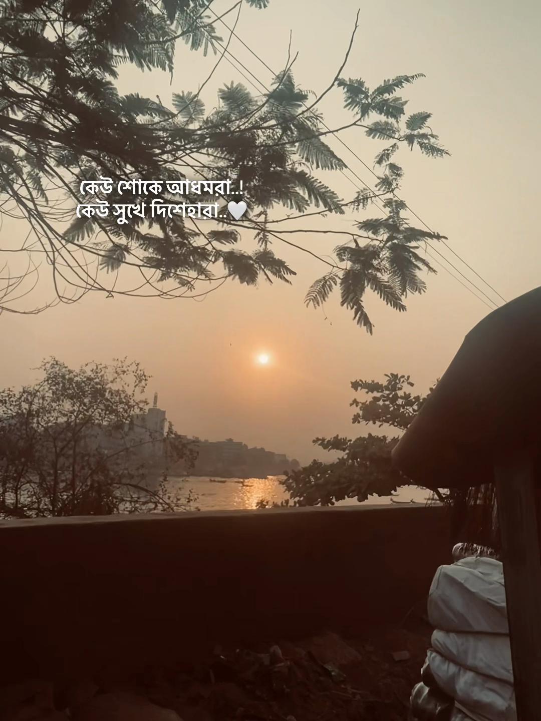 @Shahin Bhai