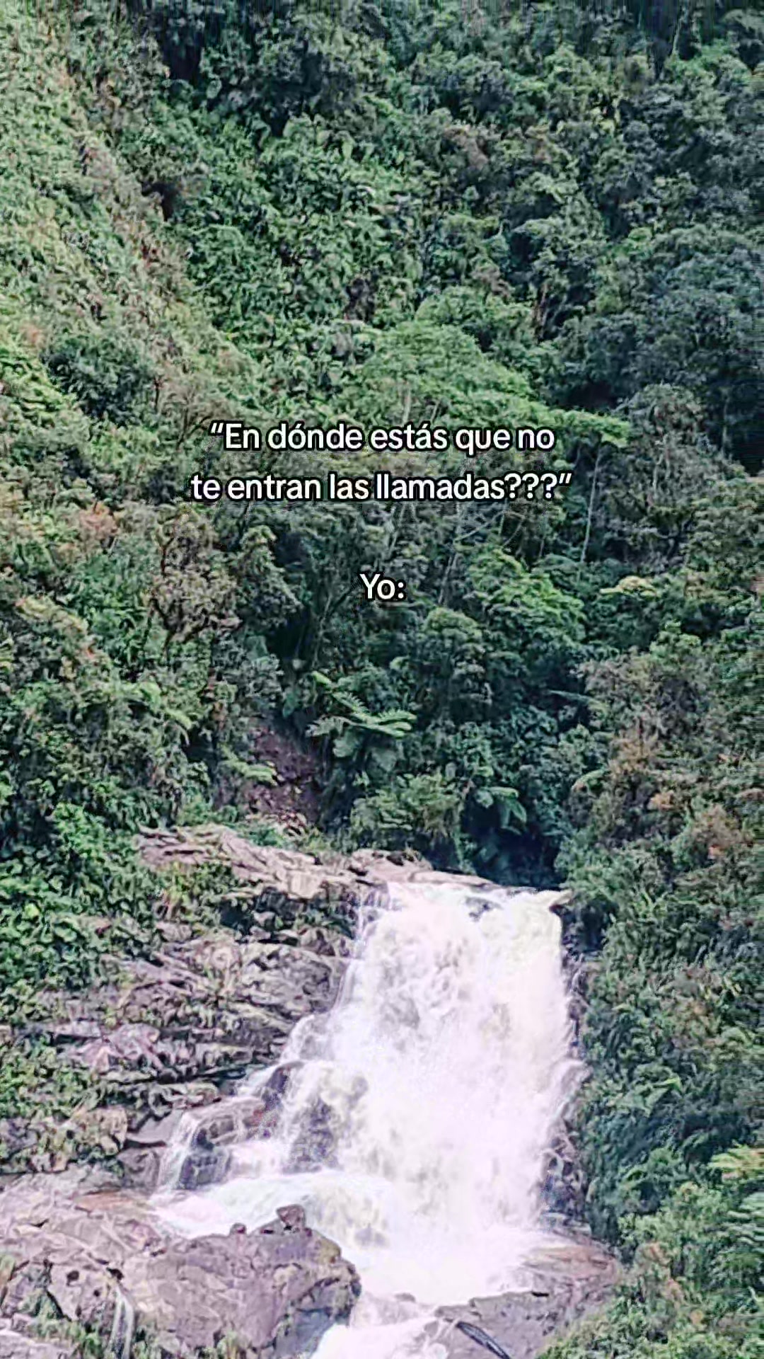 @Sara Remache