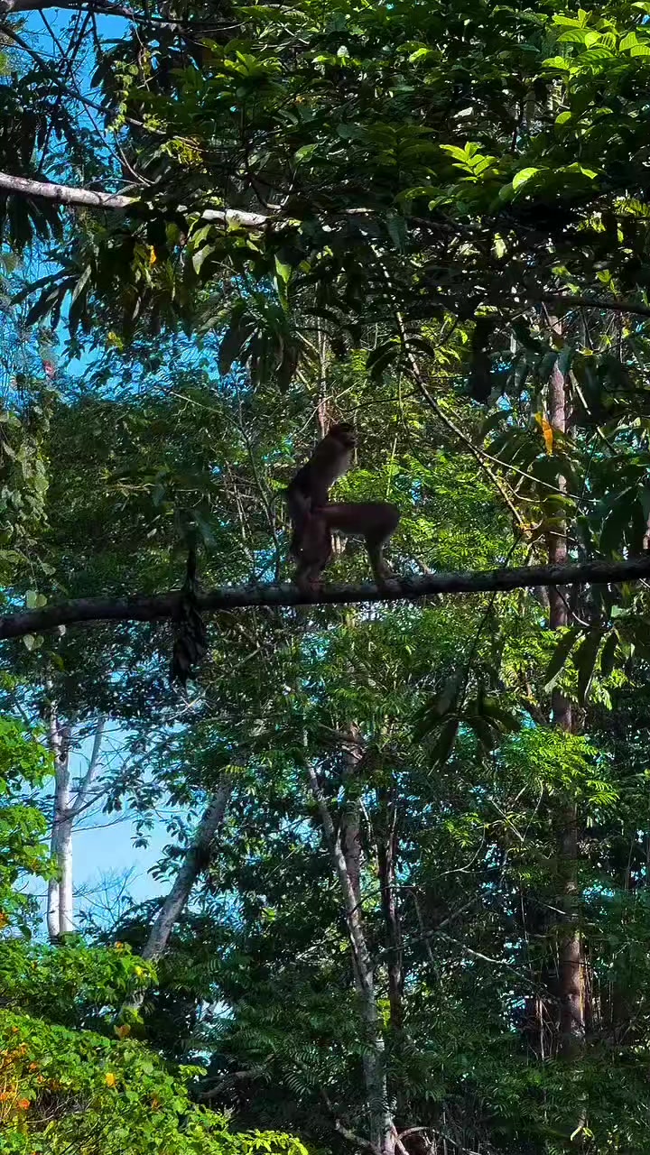 @JIMMY GARCÍA 🇨🇴🤠🐄🐂