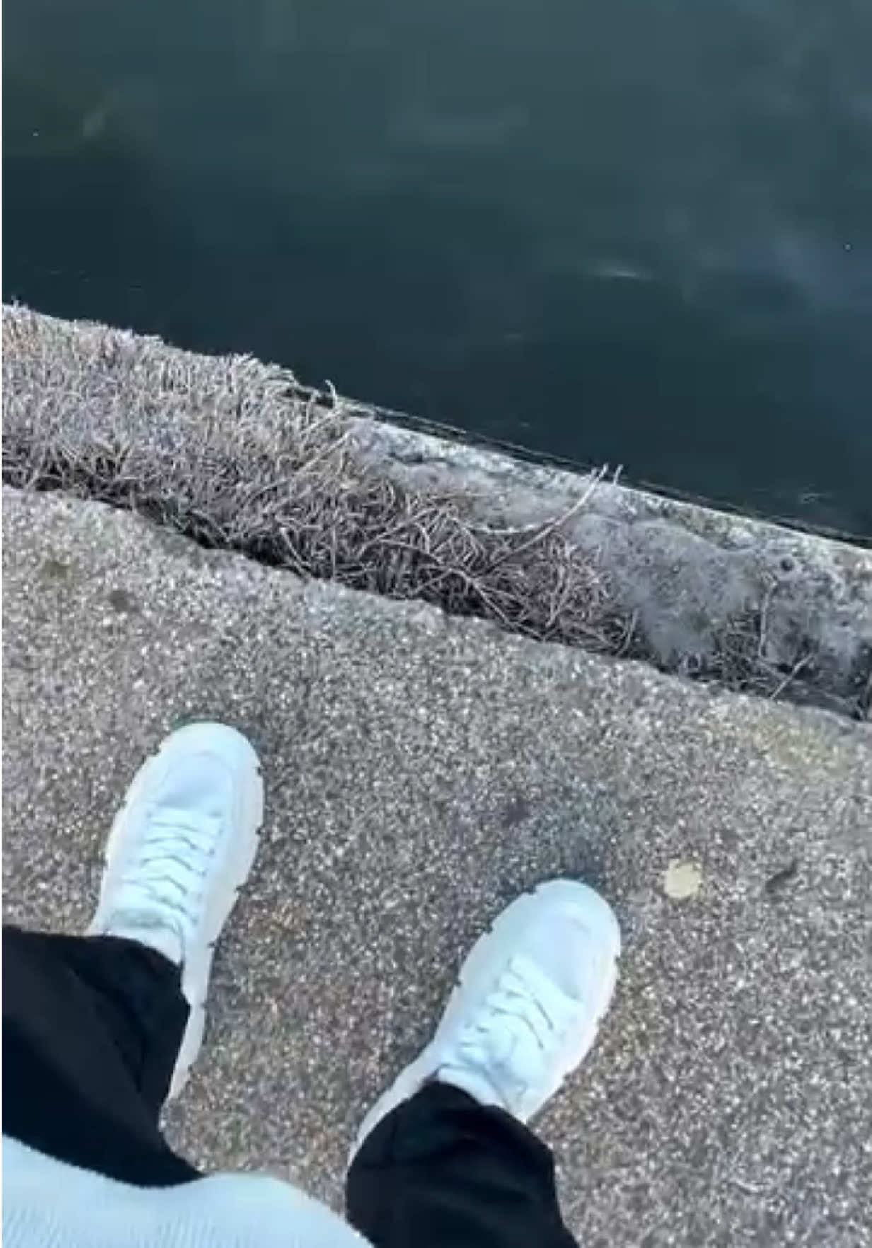 @Traidmarc