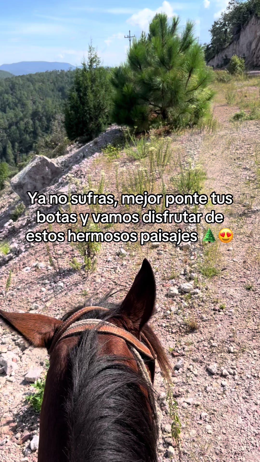 @🪐𝓙𝓾𝓷𝓲𝓸𝓻🪶🌵