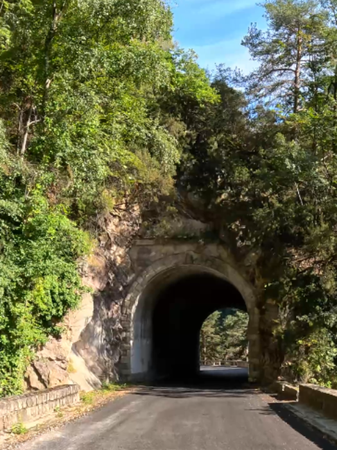 @๐ Sigis Travel Videos โจ