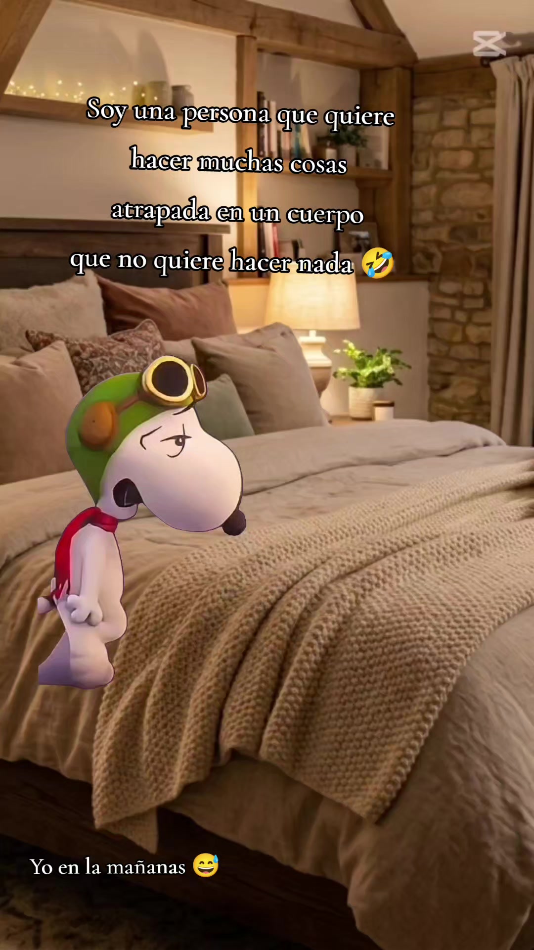 @Yane