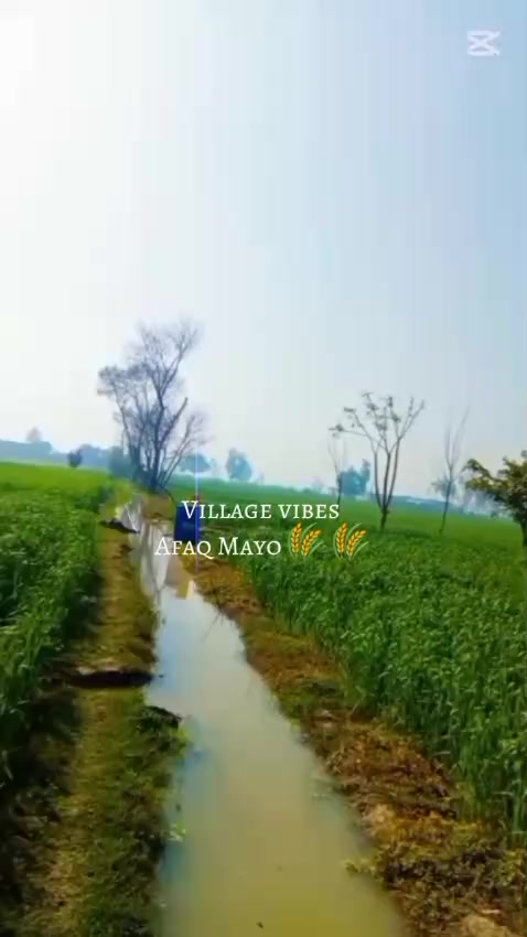@udass punchi