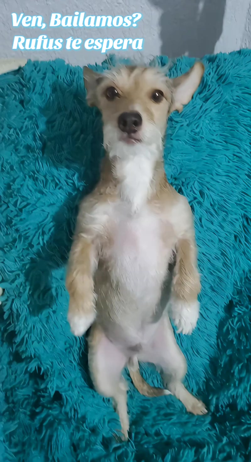 @Rufus007