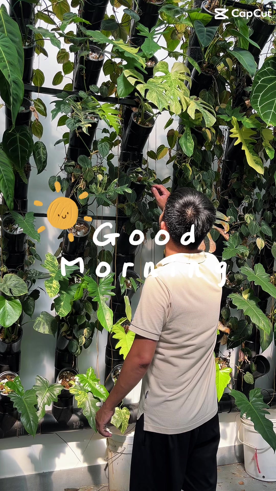 @Huy Kiểng Lá