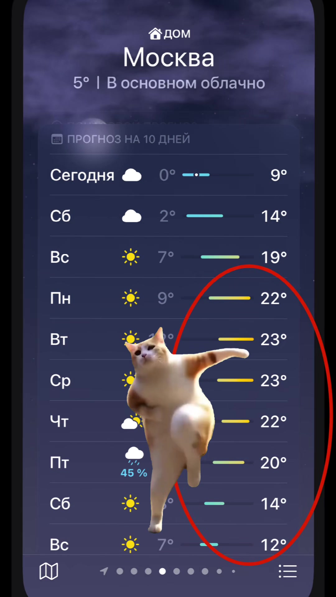@ДИМА ЯНДЕКС