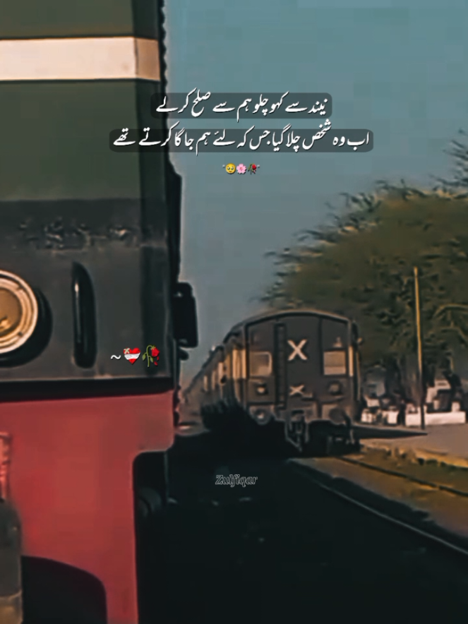 @𝑴. 𝒁𝒖𝒍𝒇𝒊𝒒𝒂𝒓