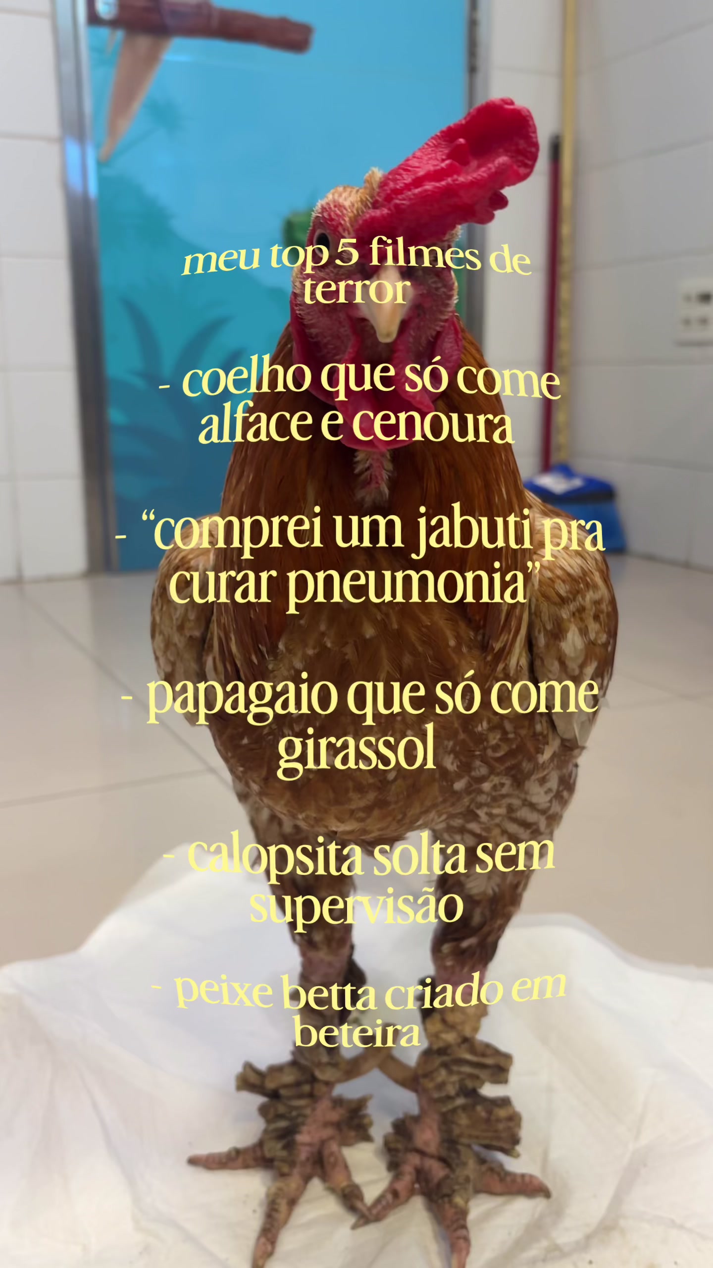 @Marcela Antunes
