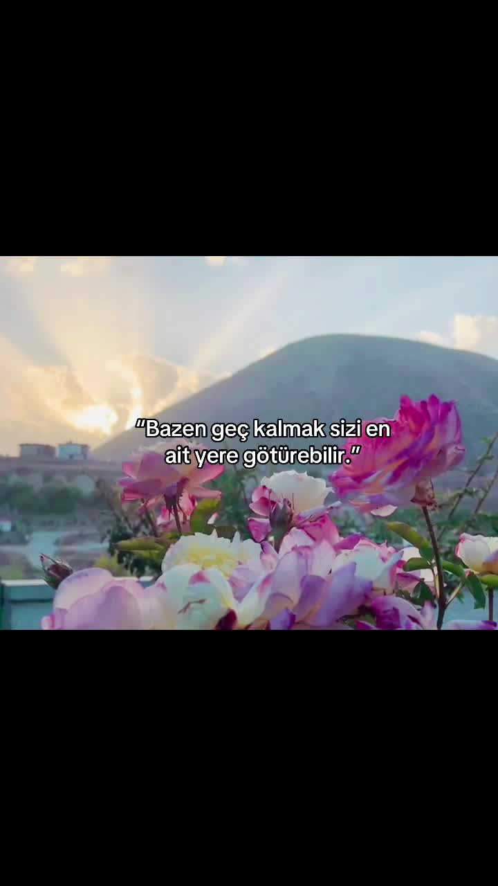 @Melek🪽