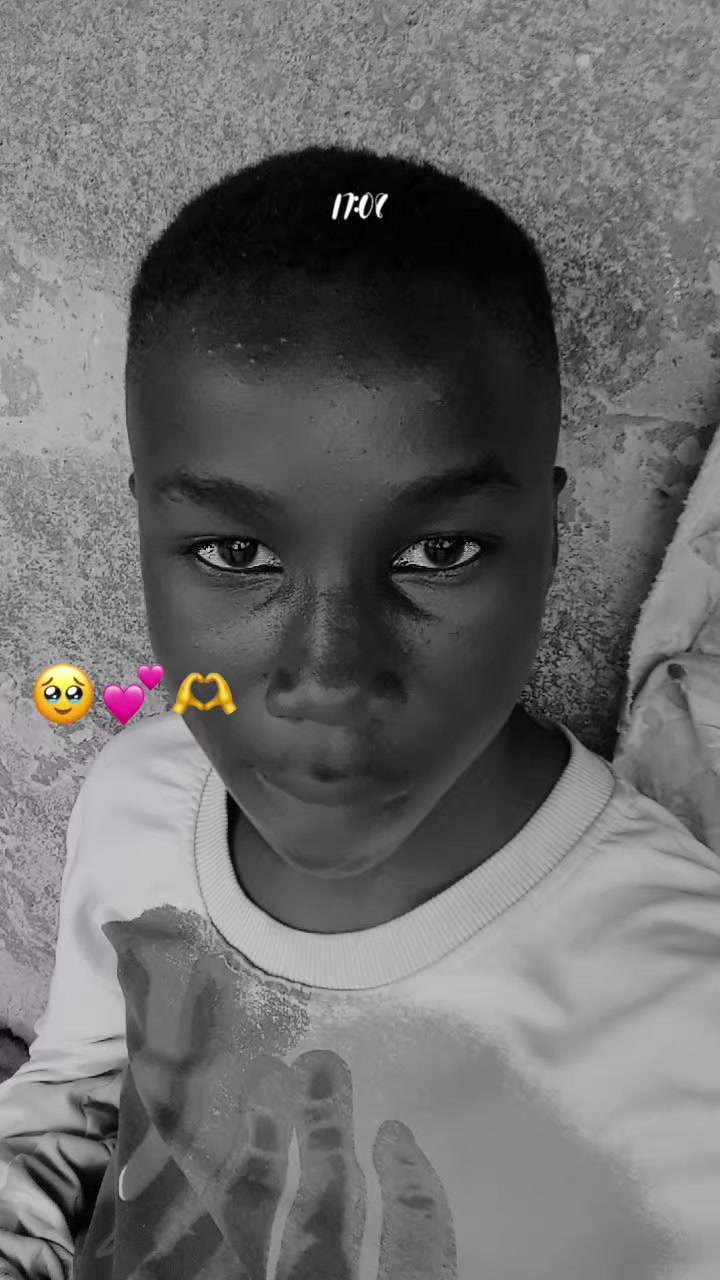 @zinodict