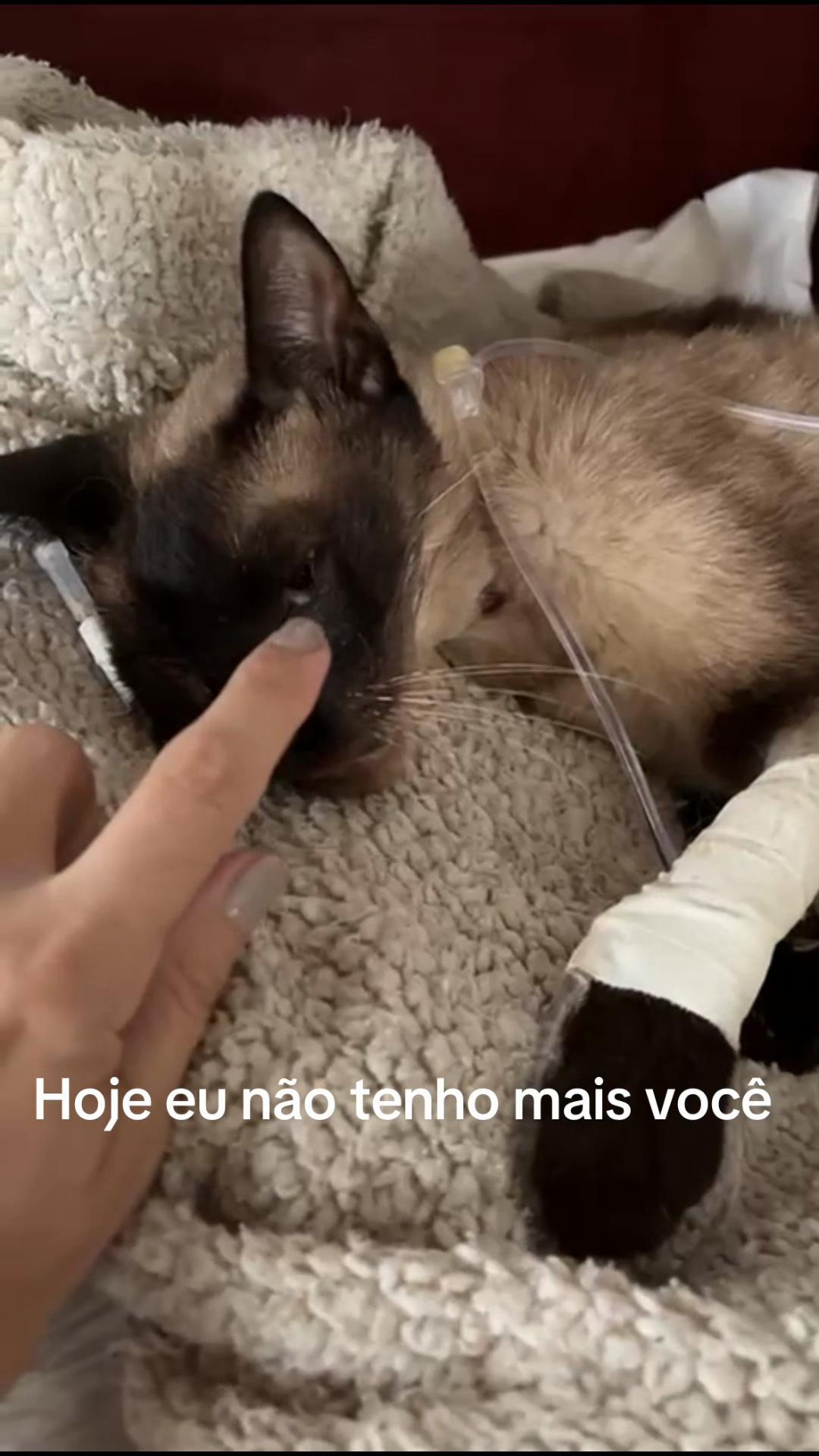 @Nany Ribeiro