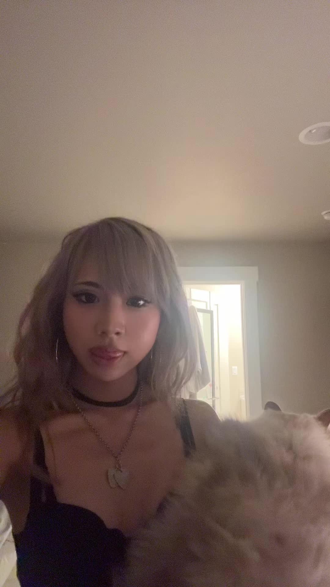 @kko