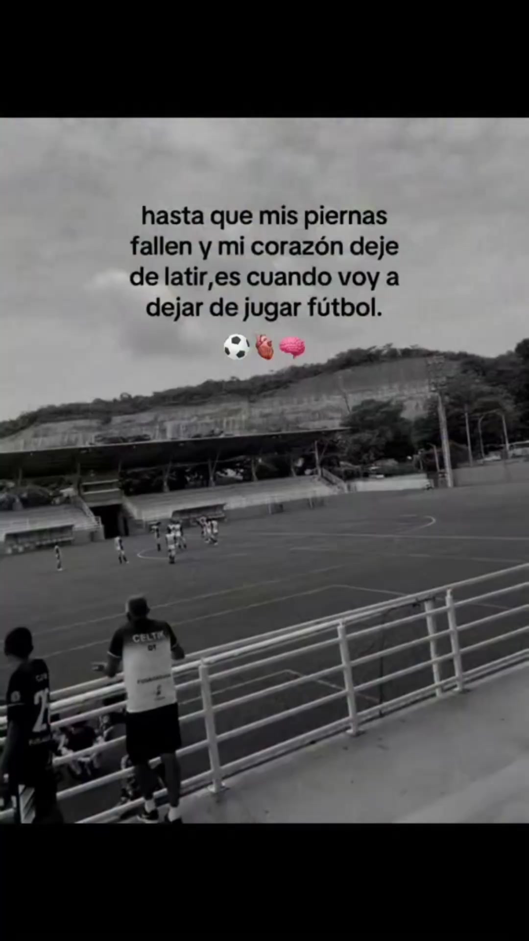 @ronaldomul