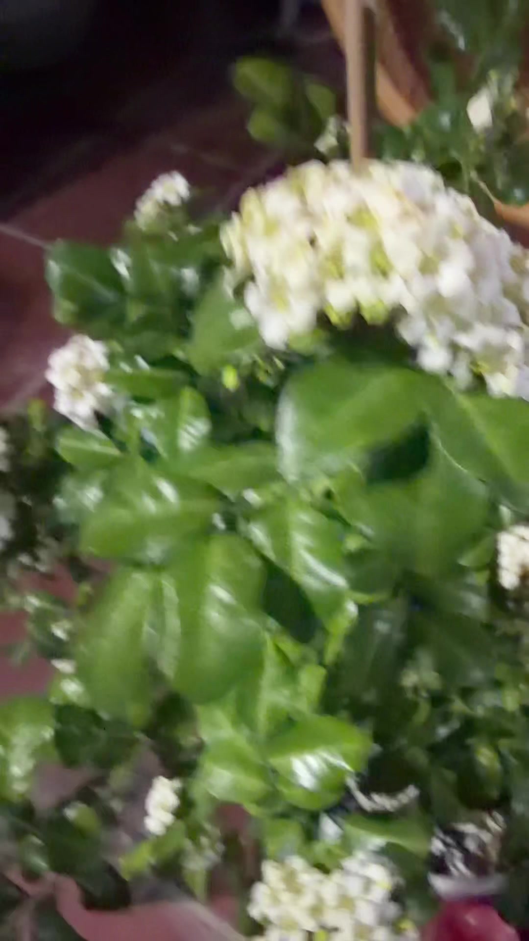 @សំបូរ សម្បត្តិ