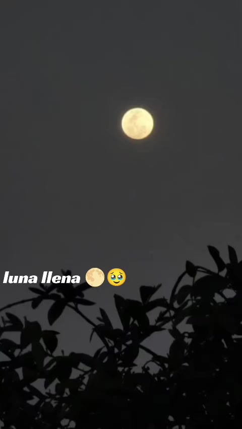 @el chinamero nica🇳🇮
