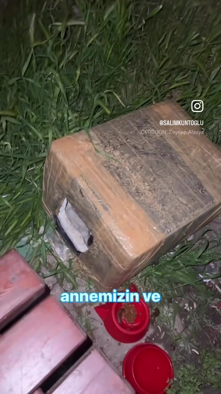 @Salim Kuntoğlu