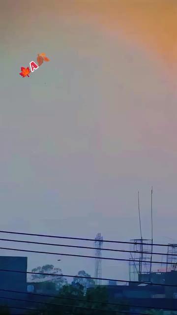@🦅بـــــــلال مــامـونـد🕊️