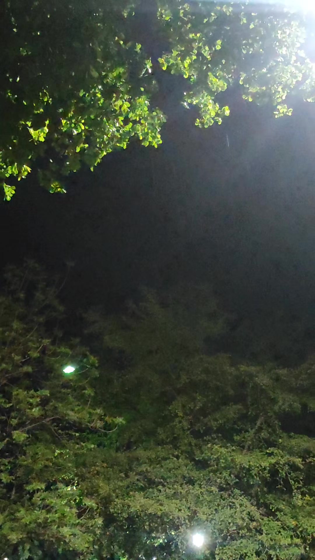 @Que bonito es lo 🐺 bonito🤠